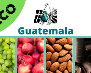 GUATEMALA <br> TZIKIN HUEHUETENANGO <br>Eco