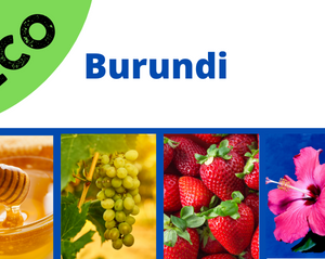 Burundi, Gahahe <br> Eco