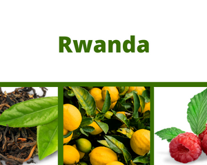 Rwanda <br> Isimbe