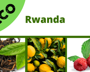 Rwanda <br> Isimbe <br> Eco