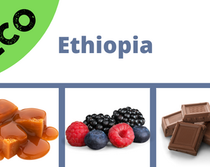 Ethiopia <br> Eco