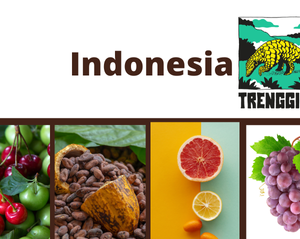Indonesia Trenggiling
