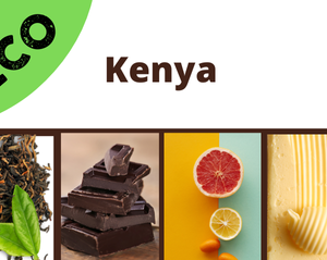Kenya Eco