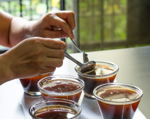 Degustation de café