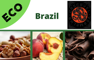 Brazil Eco Brazil Eco