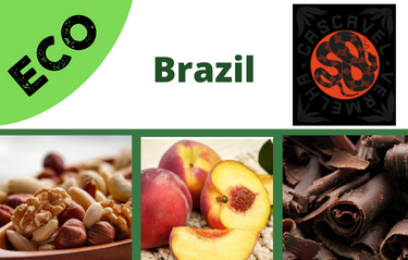 Brazil Eco