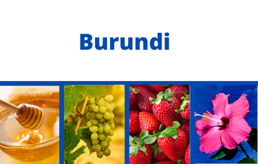 Burundi 2023