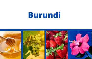 Burundi 2023 Burundi 2023