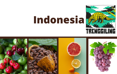 Copy of Copy of Indonesia Eco 2024 Copy of Copy of Indonesia Eco 2024