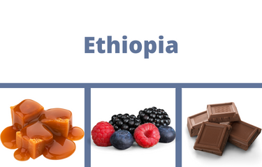Ethiopia 2024