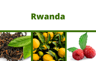 Rwanda 2024