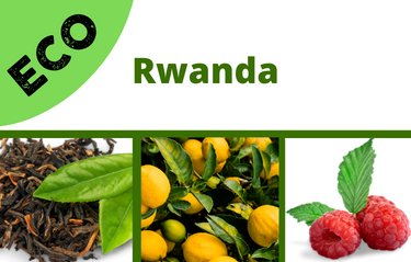 Rwanda ECO 2024