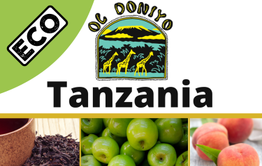 Tanz 3 eco Tanz 3 eco